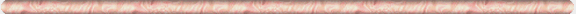 bar2.gif (7477 bytes)