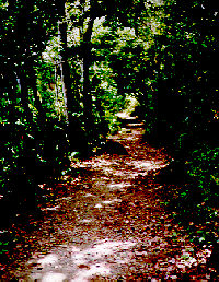 Mt Sage National Park